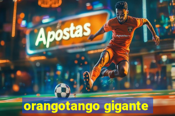 orangotango gigante